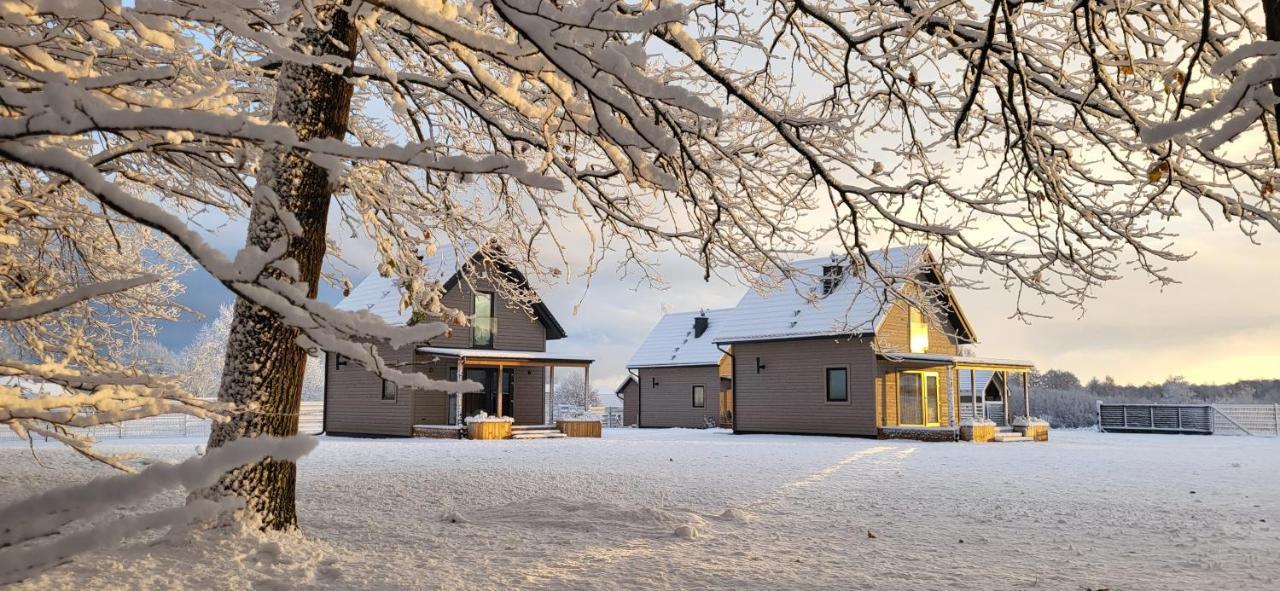 Debowisko Casa vacanze *