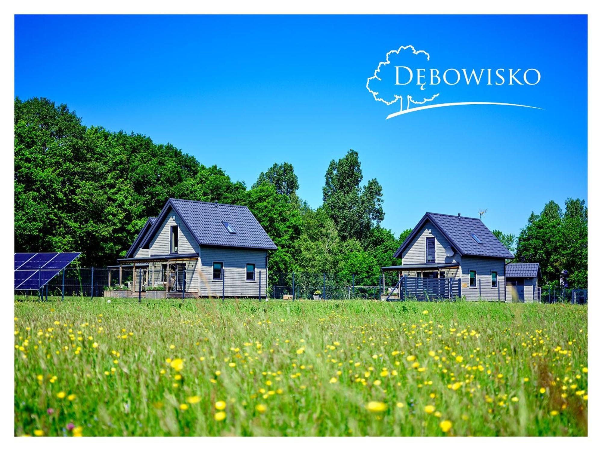 Debowisko Holiday home *
